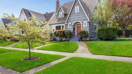 You want your yard to be the best in the neighborhood. Here's how you can make your lawn stand out.