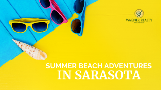 Summer Beach Adventures